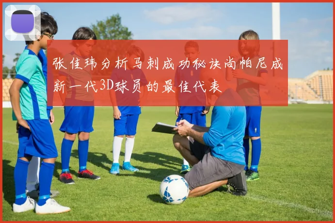 张佳玮分析马刺成功秘诀尚帕尼成新一代3D球员的最佳代表