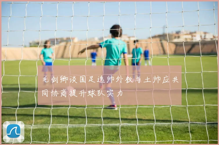 毛剑卿谈国足选帅外教与土帅应共同协商提升球队实力