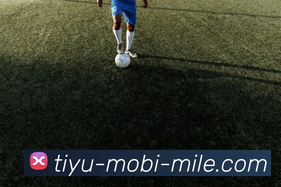 米乐体育APP 封面图